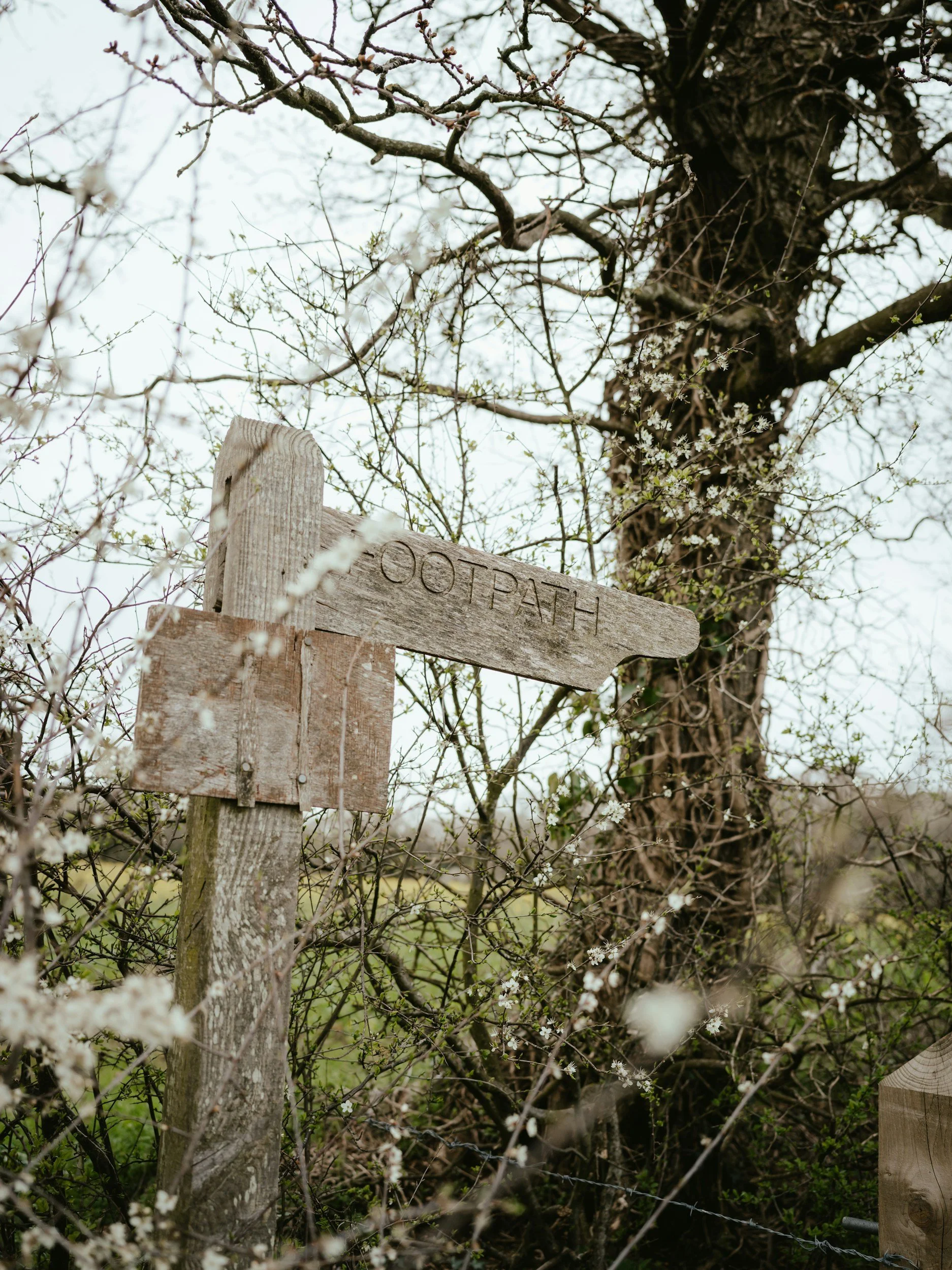 Countryside Walks Ending at a Pub in South Norfolk