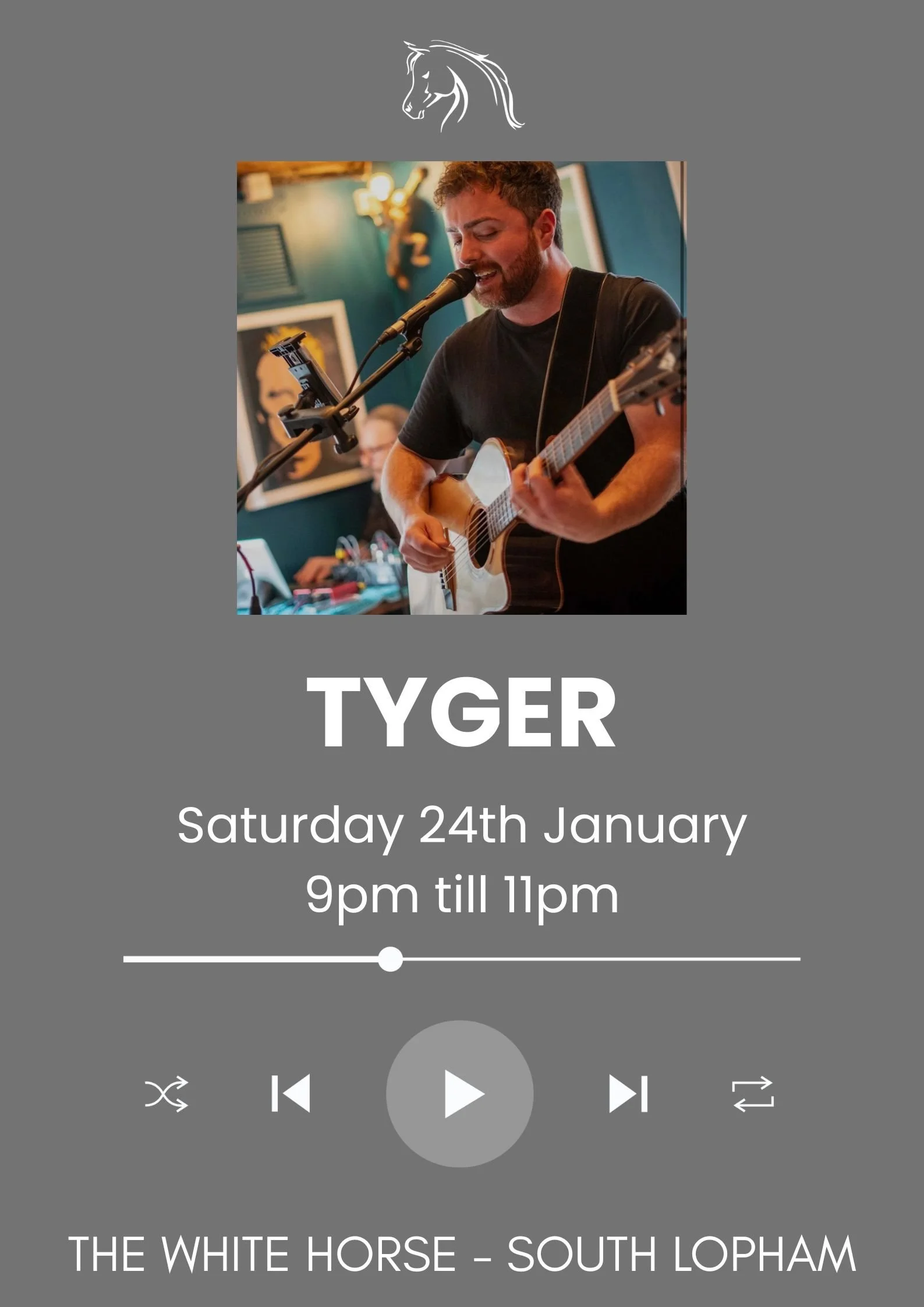 Copy of Black Colorful Music Playlist Poster.jpg