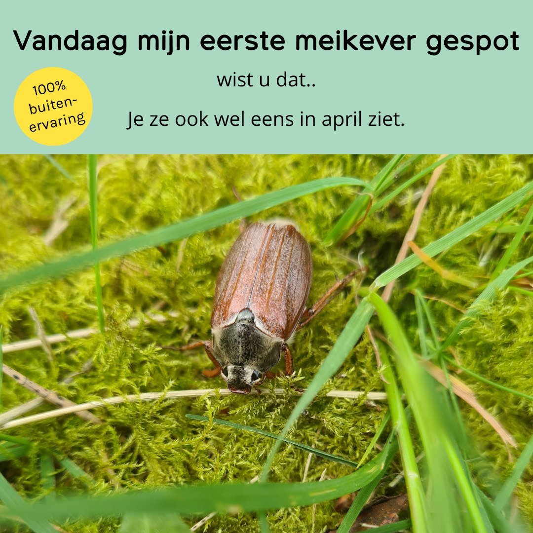 Ik was even aan de wandel en daar zat ie weer, leuk dat ze er weer zijn.
In het kader van ik zie steeds meer in de natuur sinds ik met Hof van Hovenkamp gestart ben. 🪵🍃
Ook leren voelen en verwonderen meldt je aan voor een Team- of Heidag in het Ho