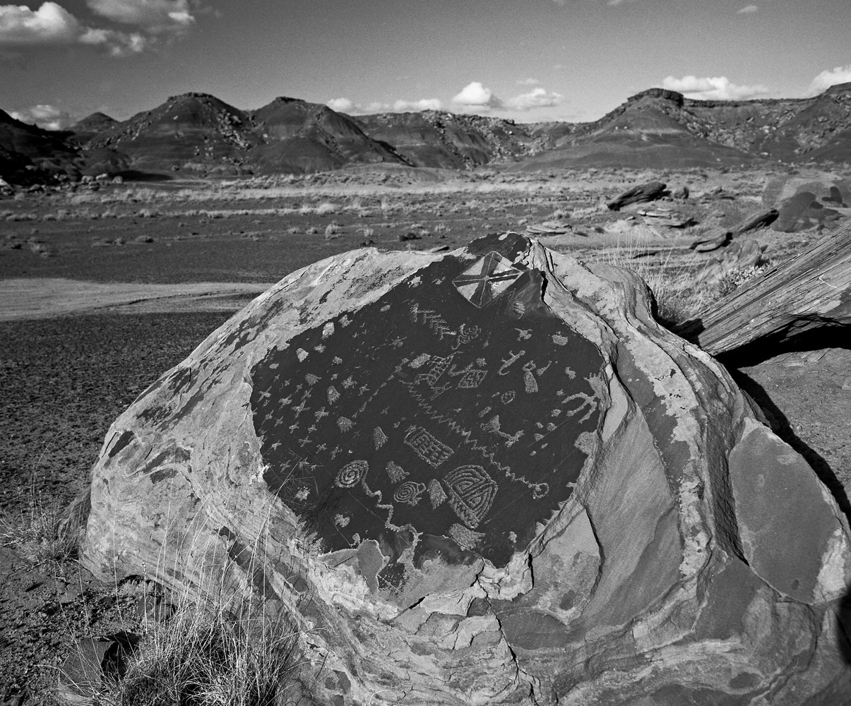 67 Pertrified Forest,Arizona,2010.jpg