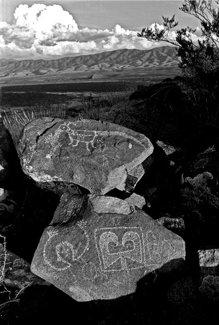 13 Petroglyph panel,Three Rivers,New Mexico,1986.jpg