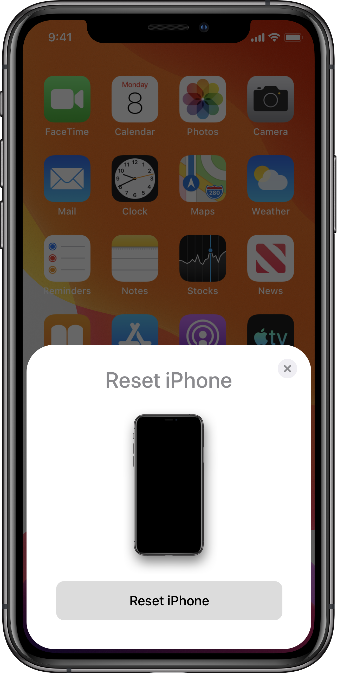 Reset iPhone X3.png