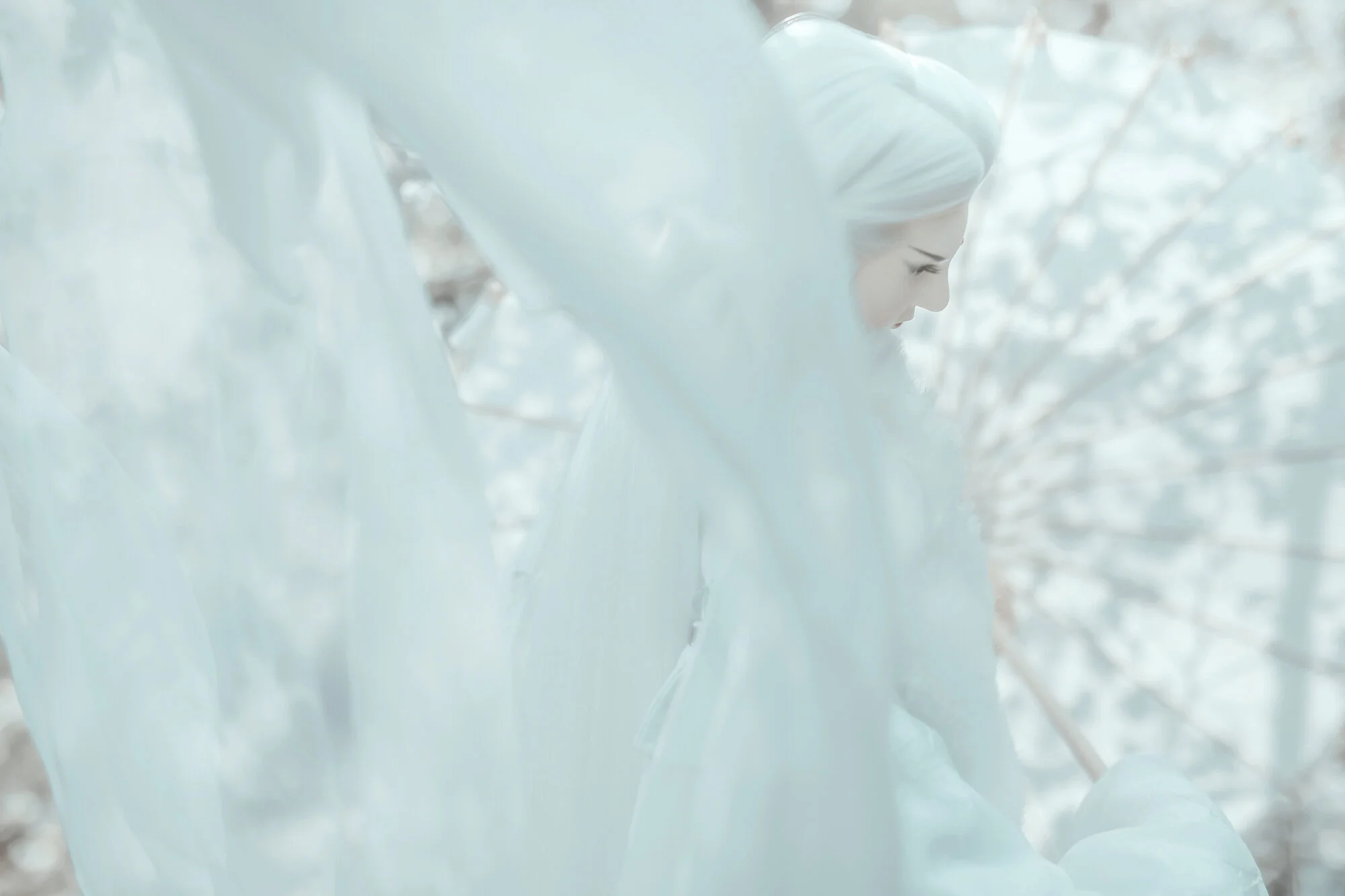 Snow