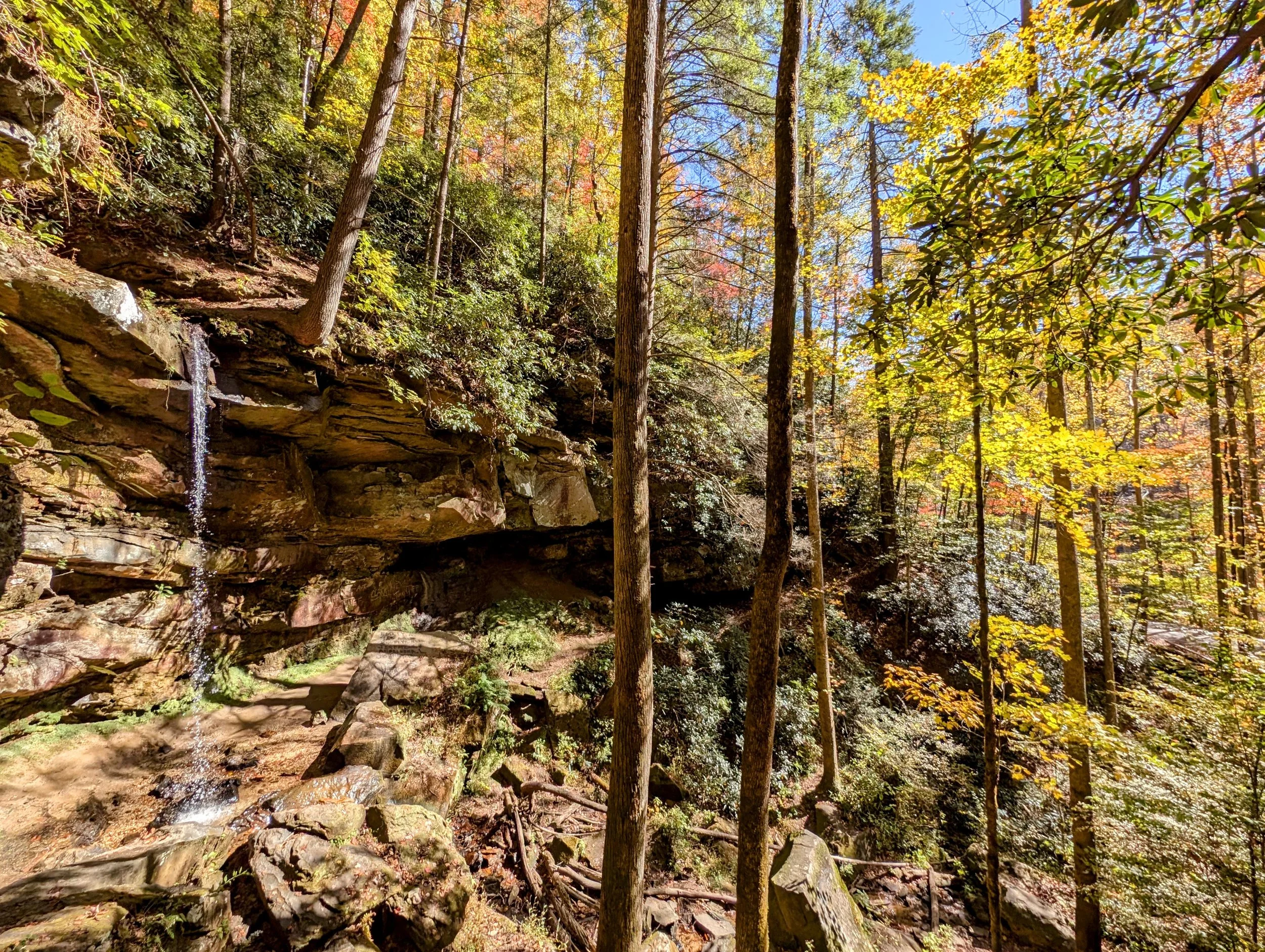 Bell Falls from Approach Left - Red River Gorge - Kentucky Hiker Project