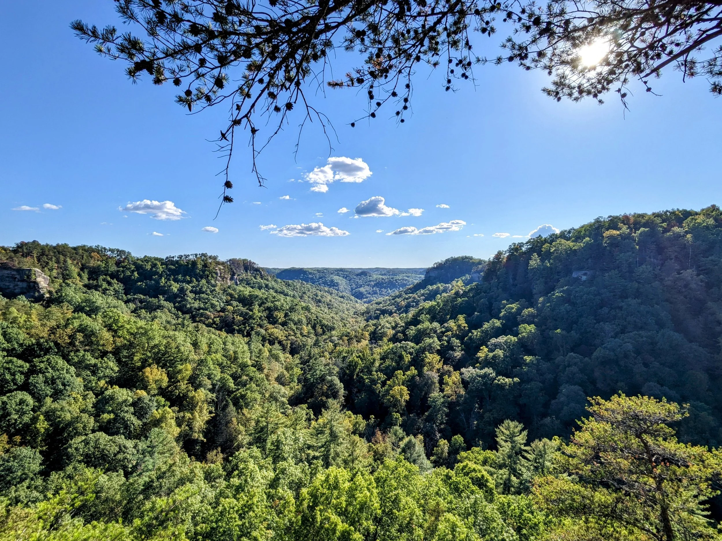 East Ride Overlooking Tarr Ridge East Overlook #1 Out and Back — Kentucky Hiker Project