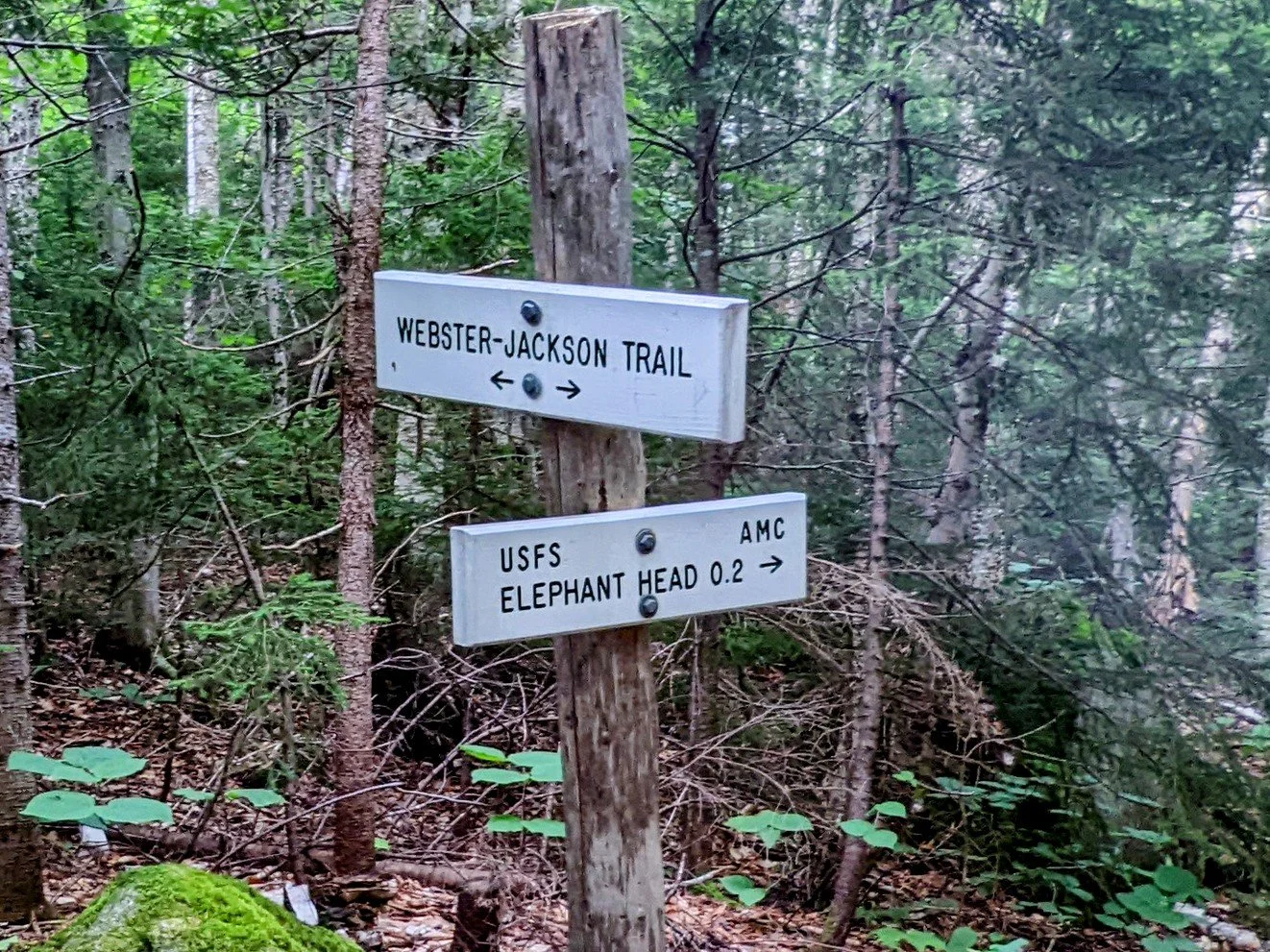 Mt. Jackson and Mt. Pierce Loop and Spurs — Kentucky Hiker Project