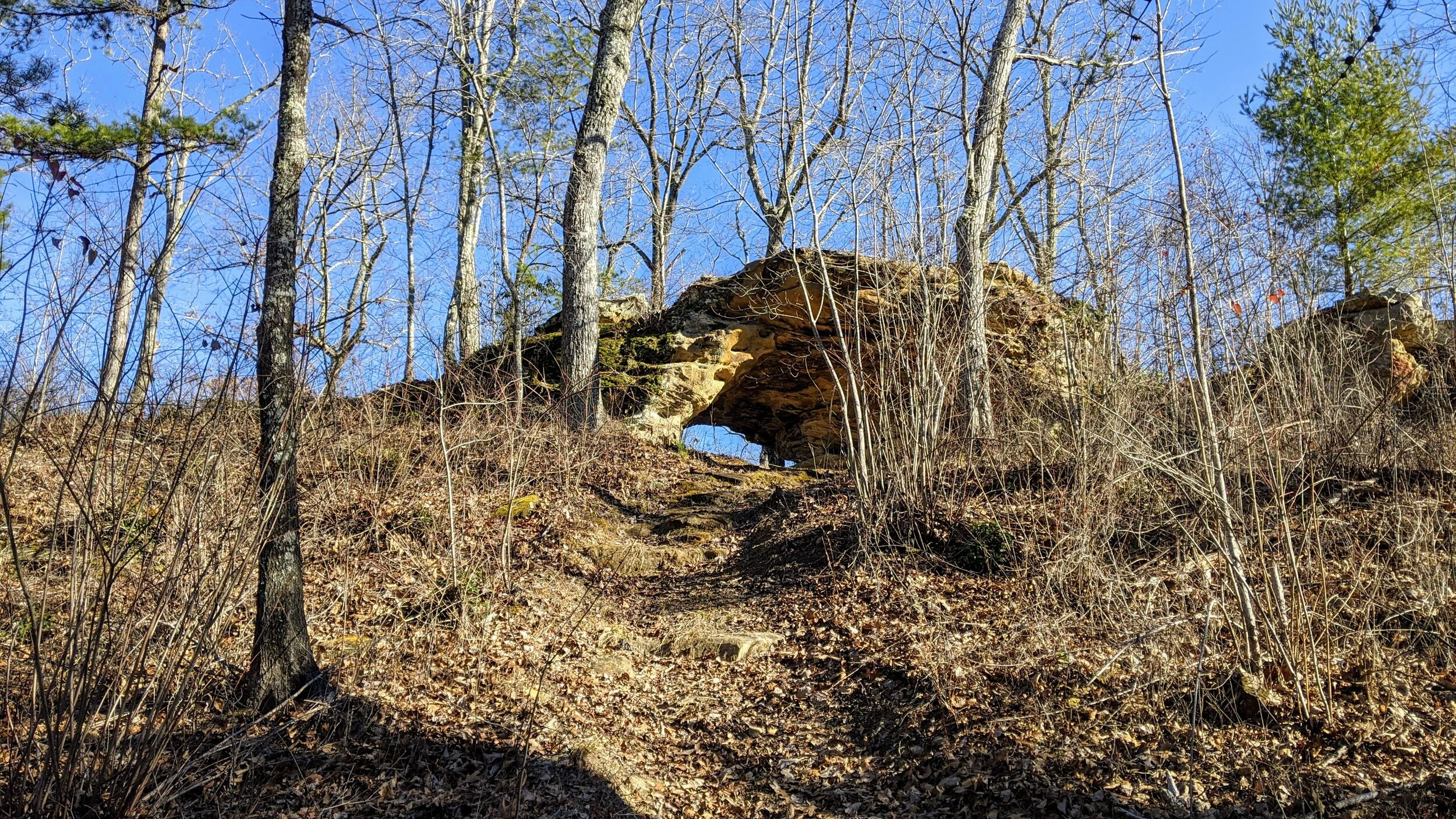 Buzzard Creek Arch Out and Back