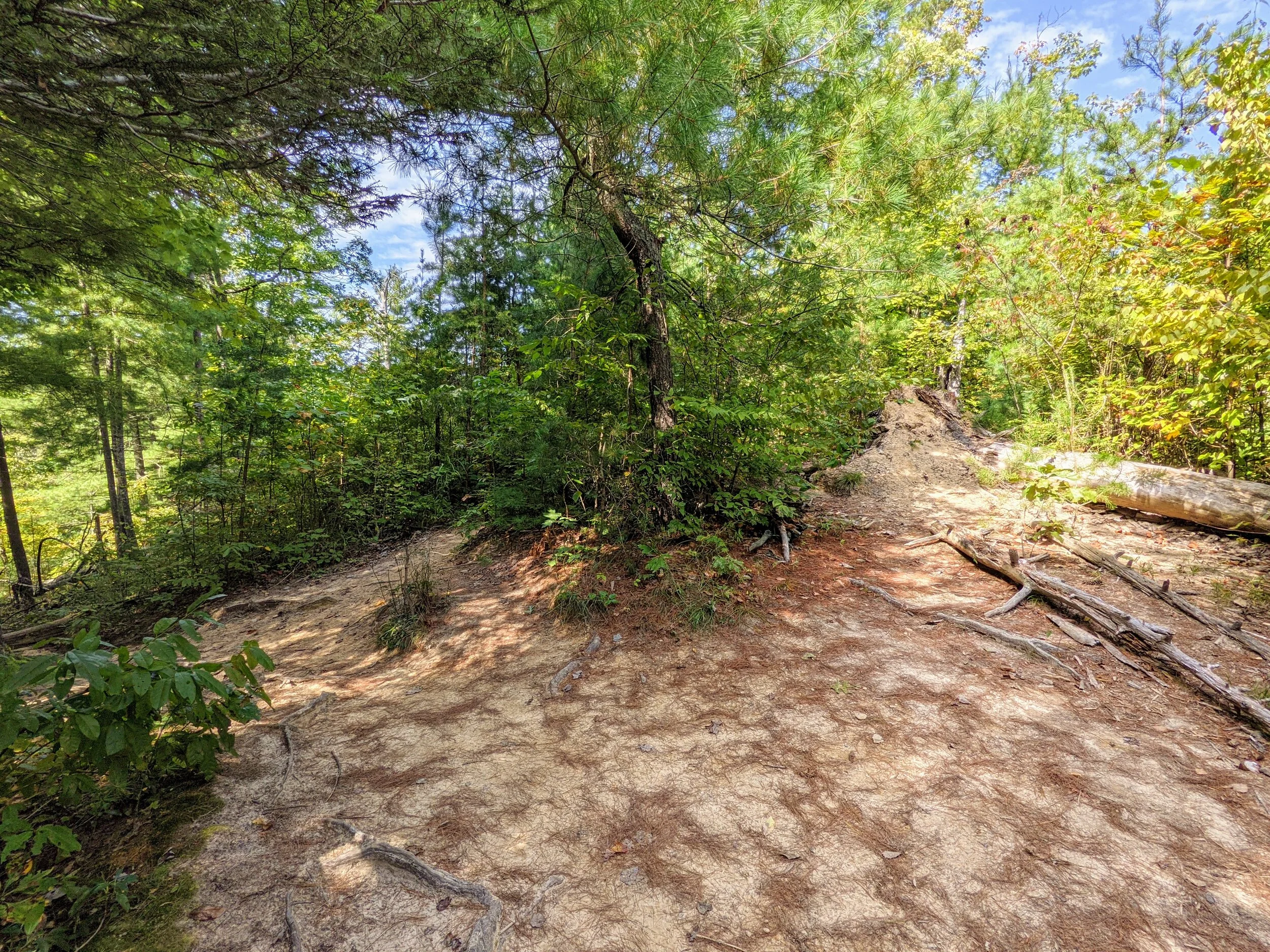 Hanson’s Point Out and Back — Kentucky Hiker Project