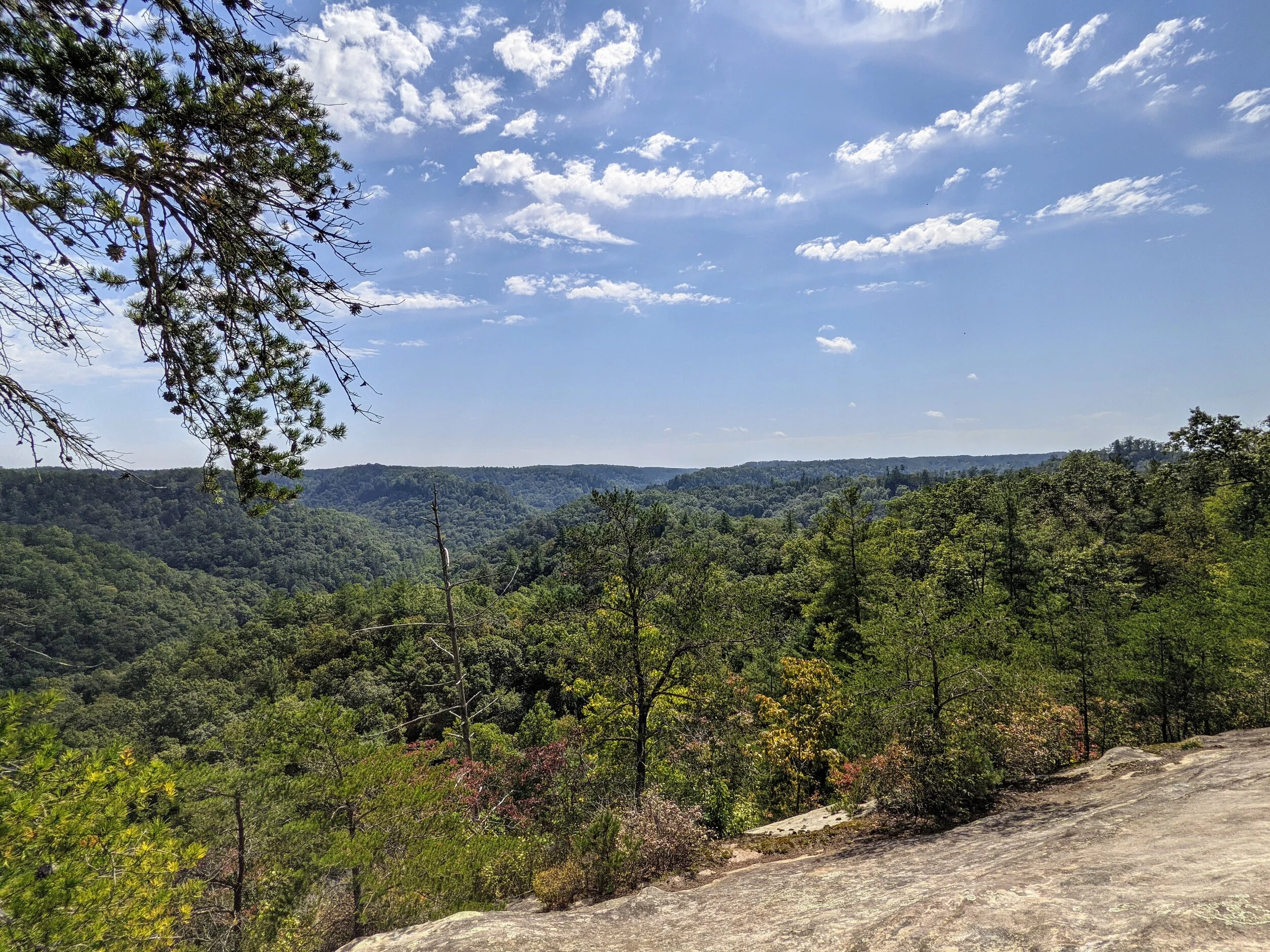 Hanson’s Point Out and Back — Kentucky Hiker Project