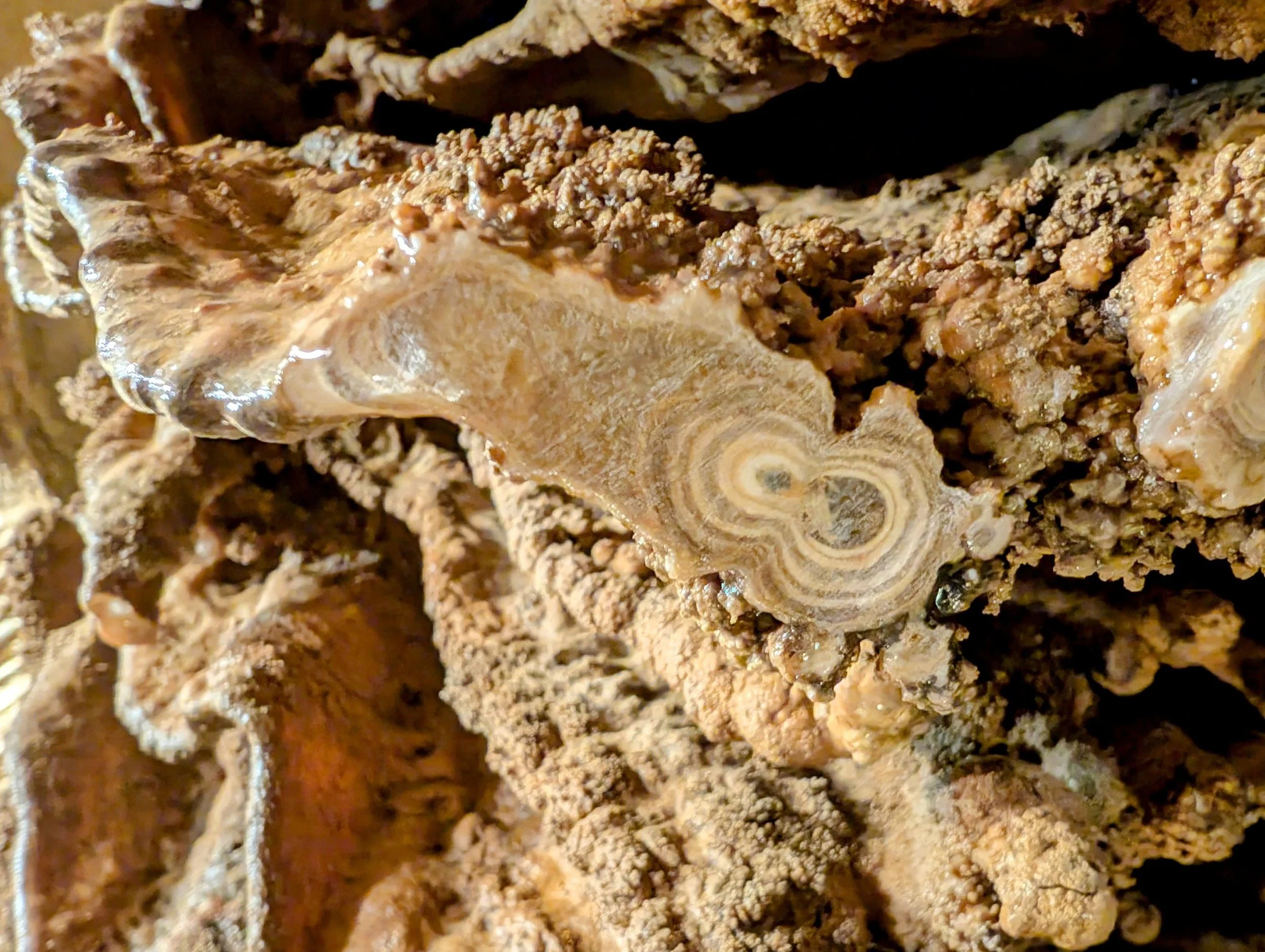 Crystal Onyx Cave Upper Tour — Kentucky Hiker Project