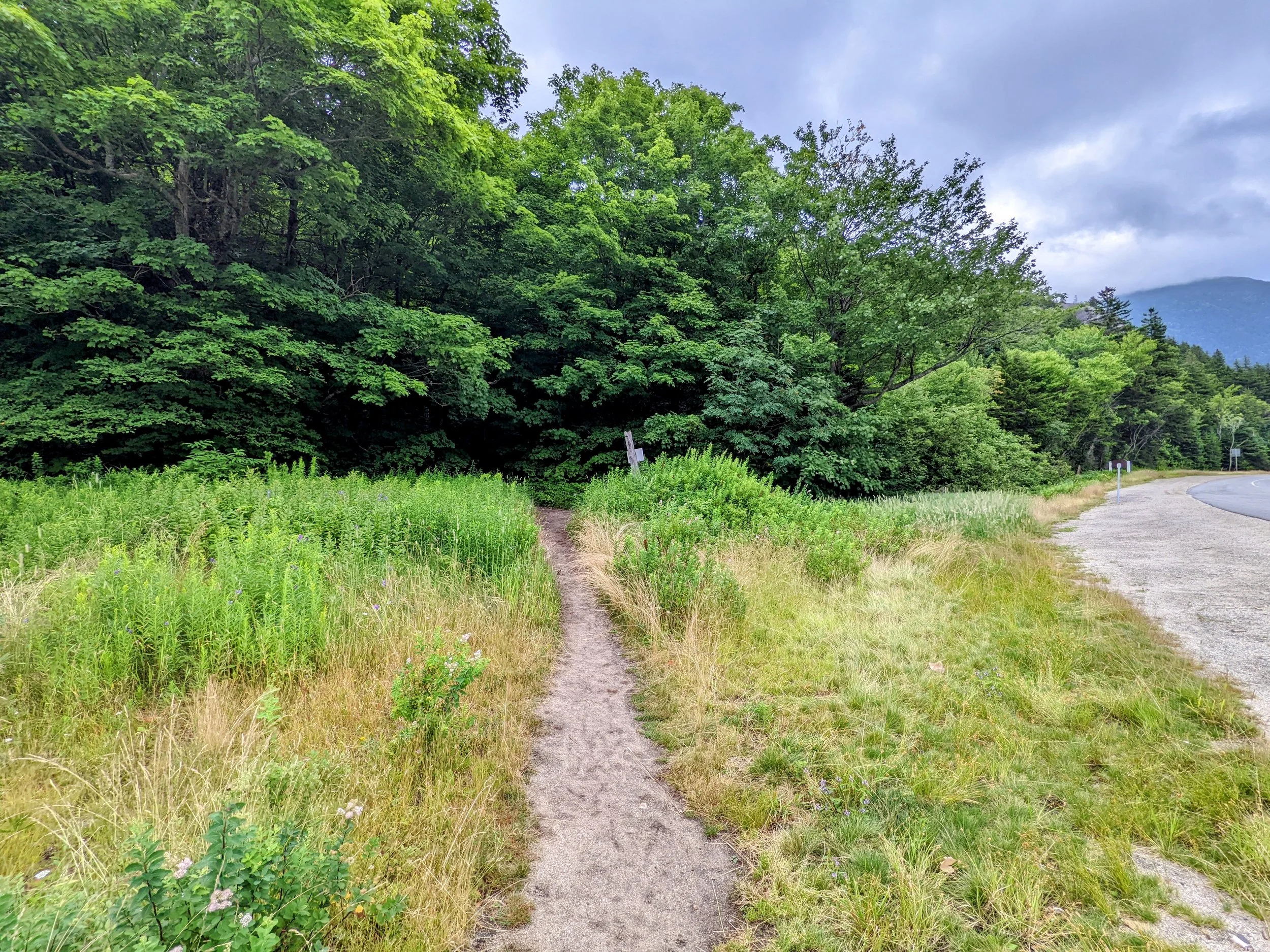 Mt. Jackson and Mt. Pierce Loop and Spurs — Kentucky Hiker Project