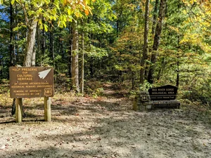 East Ride Overlooking Tarr Ridge East Overlook #1 Out and Back — Kentucky Hiker Project