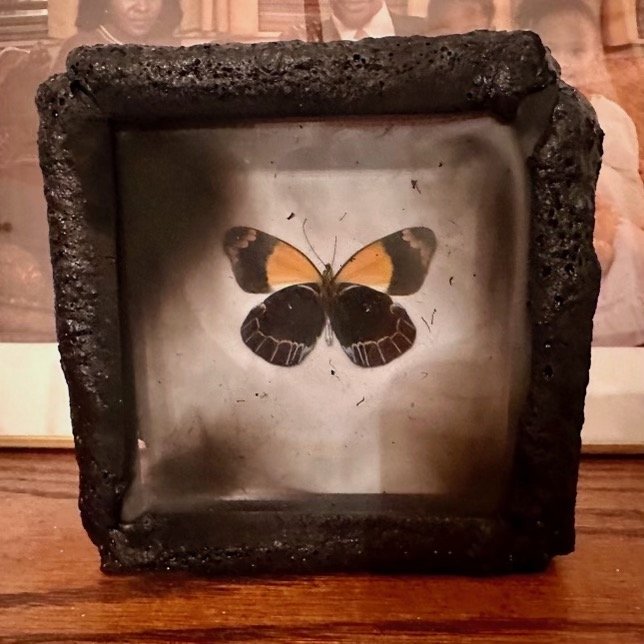 Burned frame.