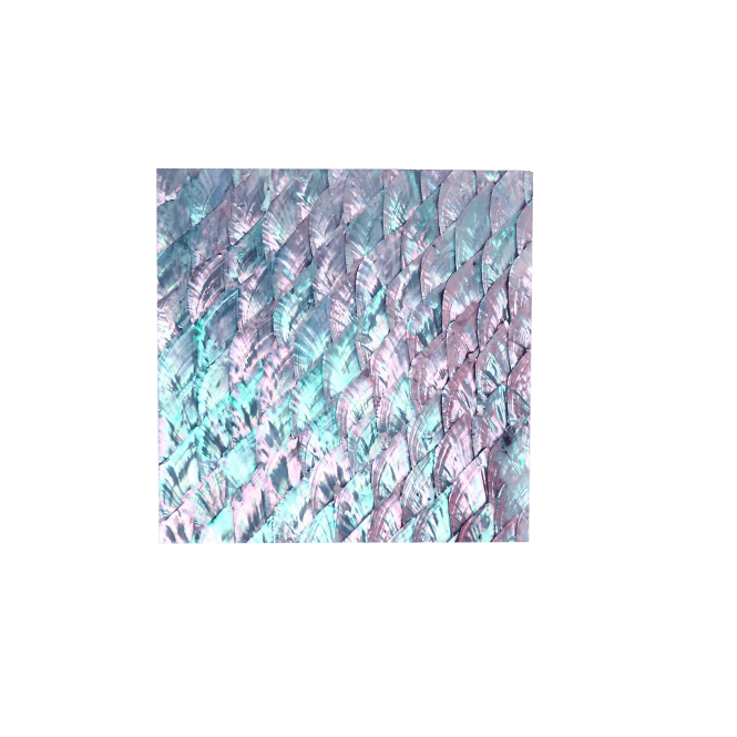 luméa-natural-abalone-varnished-laminate-shell-veneer-p1182-9973_medium.png