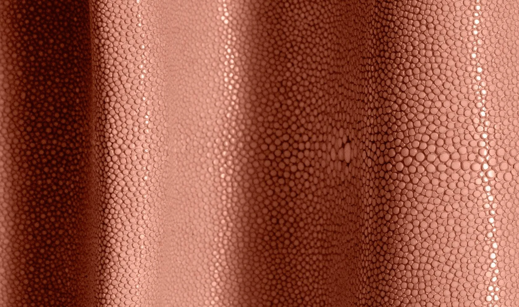 Alma_Leather_Shagreen_Orchid_02-1680x995.jpg