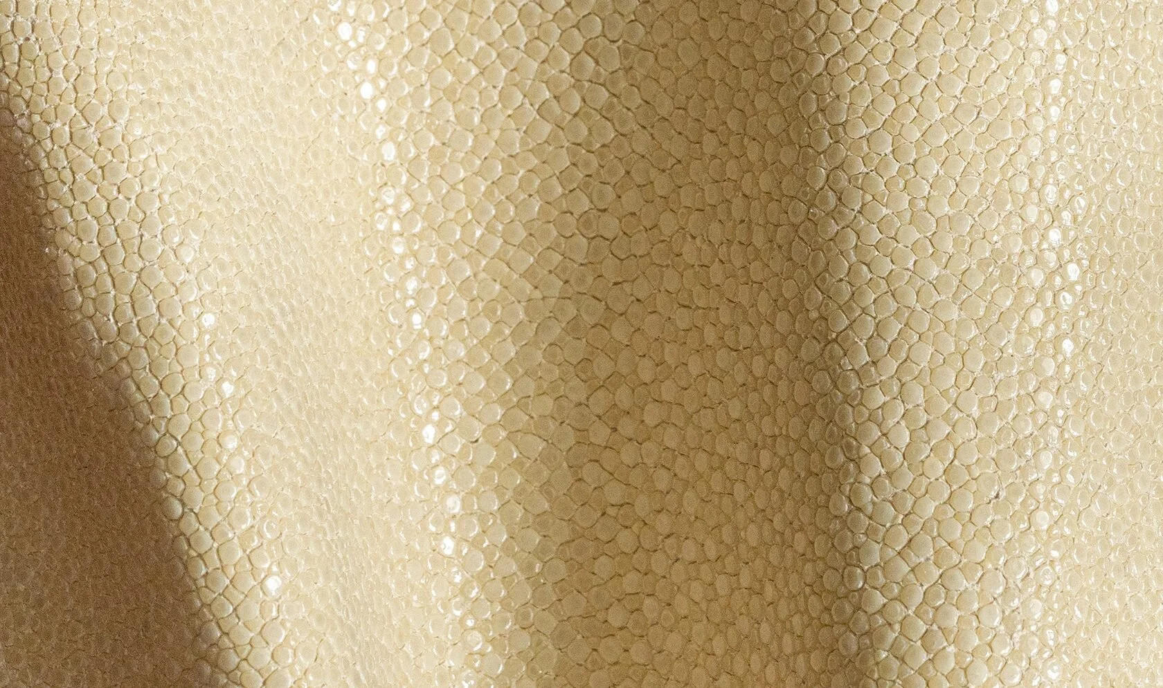 Alma_Leather_Shagreen_Ivory_02-1680x995.jpg
