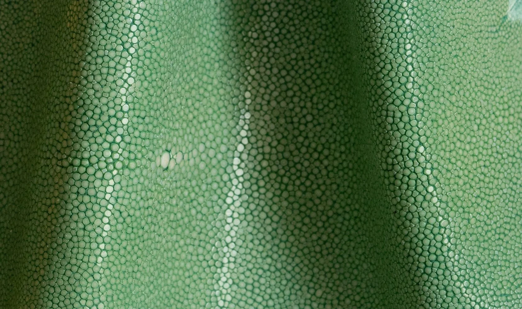 Alma_Leather_Shagreen_Apple_02-1680x995.jpg