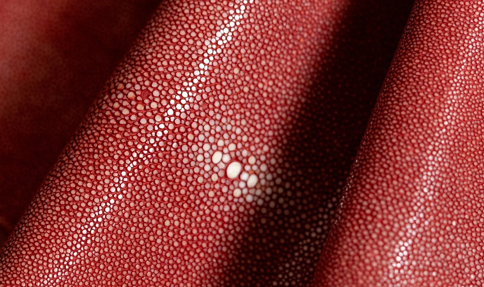 Alma_Leather_Shagreen_Red_02-1680x995.jpg