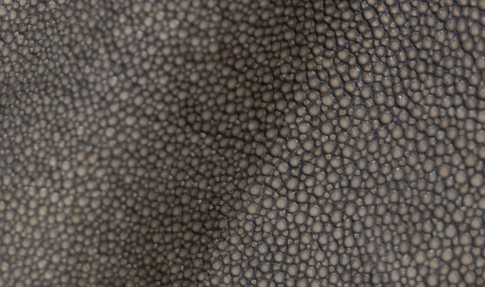 Alma_Leather_Shagreen_Stone_02-1680x995.jpg