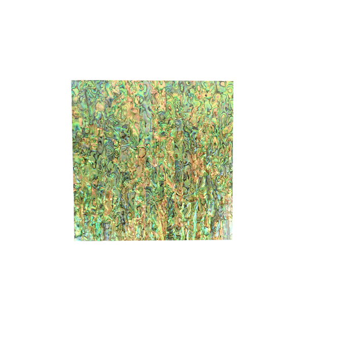 luméa-paua-abalone-varnished-laminate-shell-veneer-p1178-9990_medium.png
