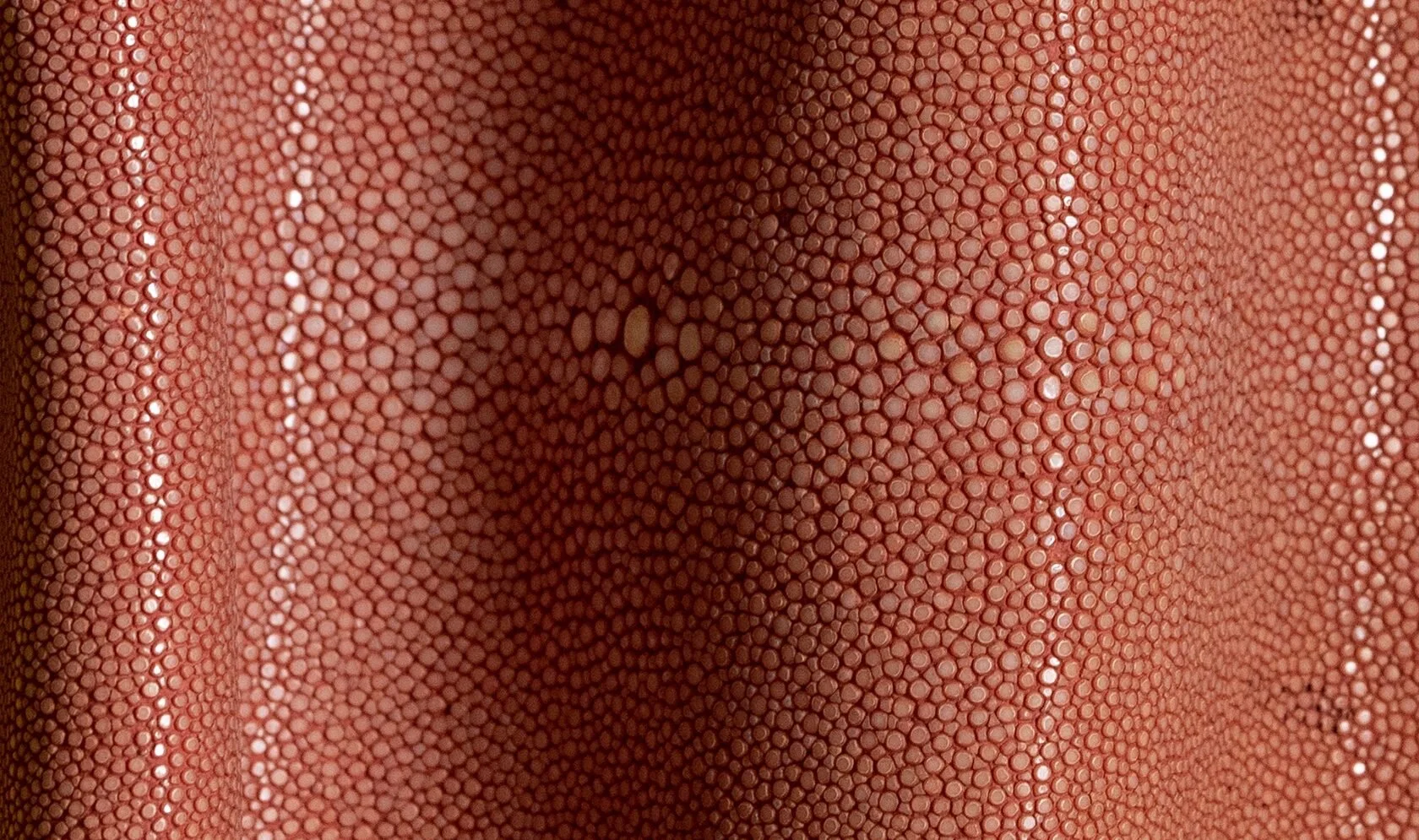 Alma_Leather_Shagreen_Rose_02-1680x995.jpg