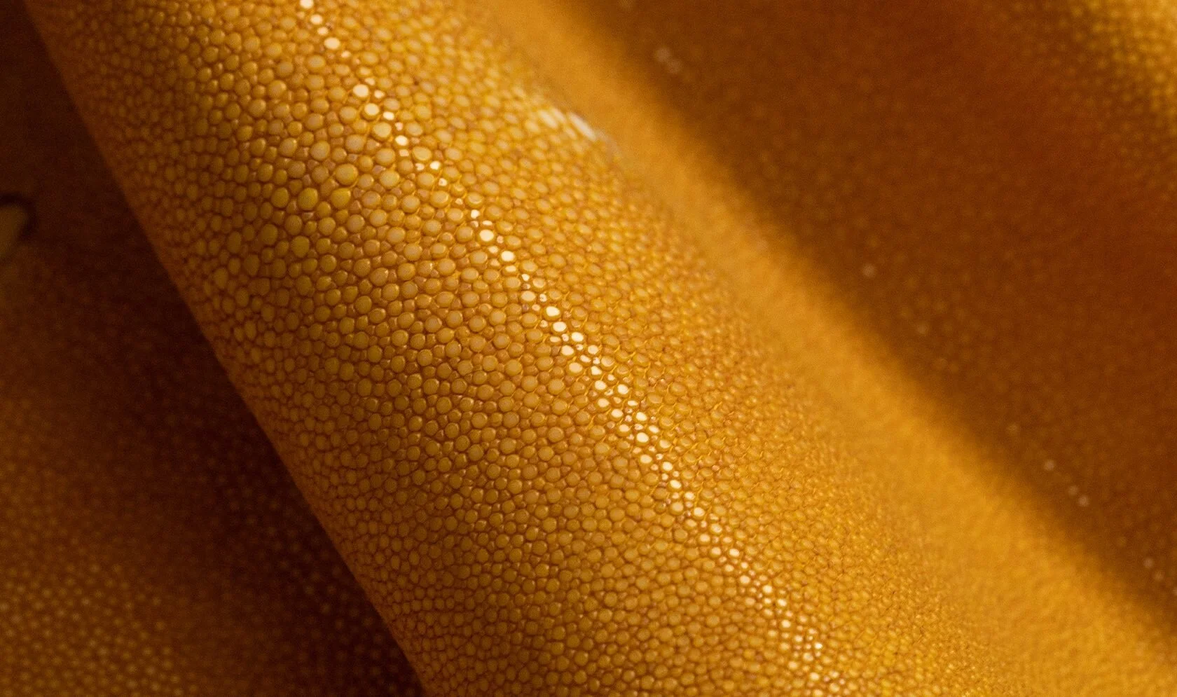 Alma_Leather_Shagreen_Yellow_02-1680x995.jpg