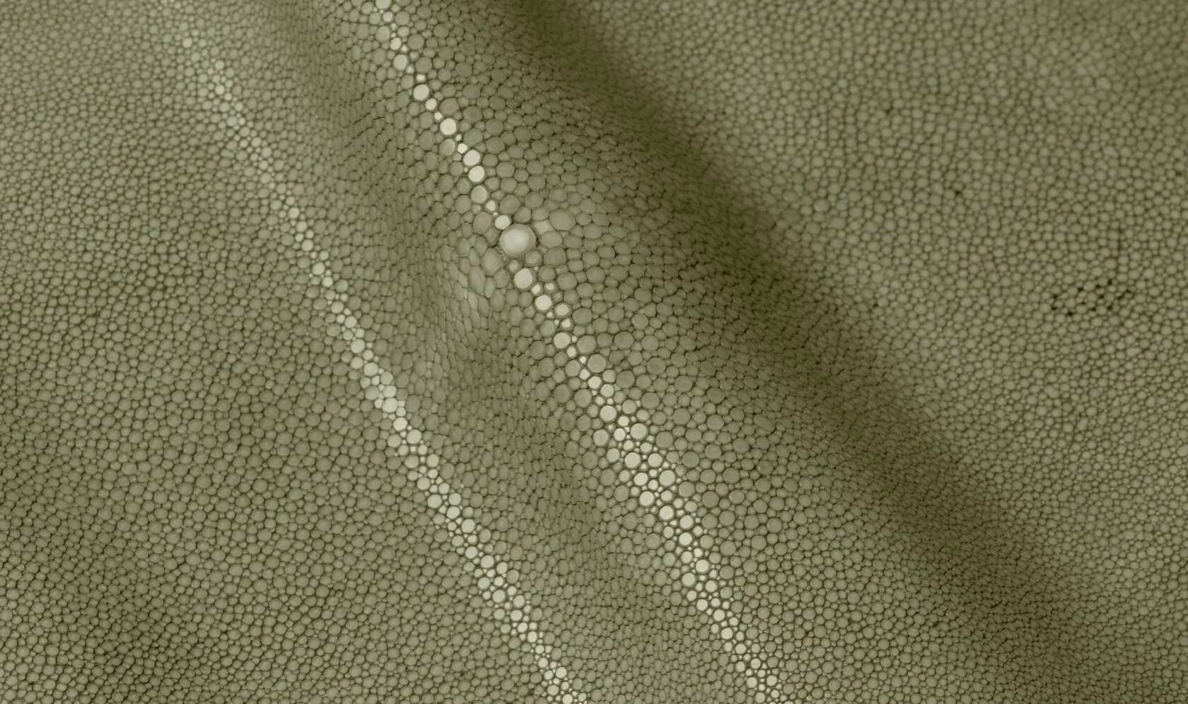 Alma_Leather_Shagreen_Sage_02-1680x995.jpg