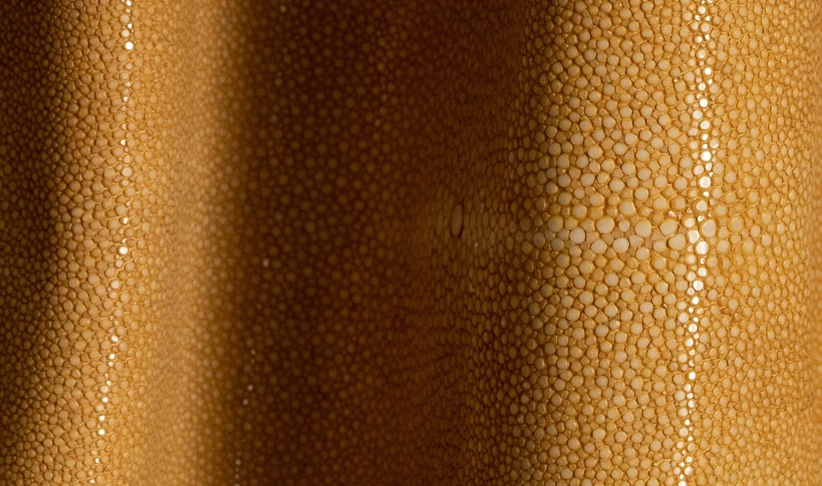 Alma_Leather_Shagreen_Beige_02-1680x995.jpg
