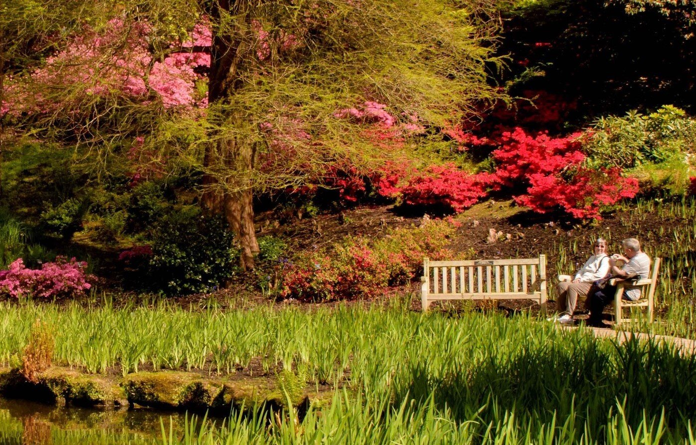 Kew Gardens: A Year in Bloom starts tonight on Channel 5 ...