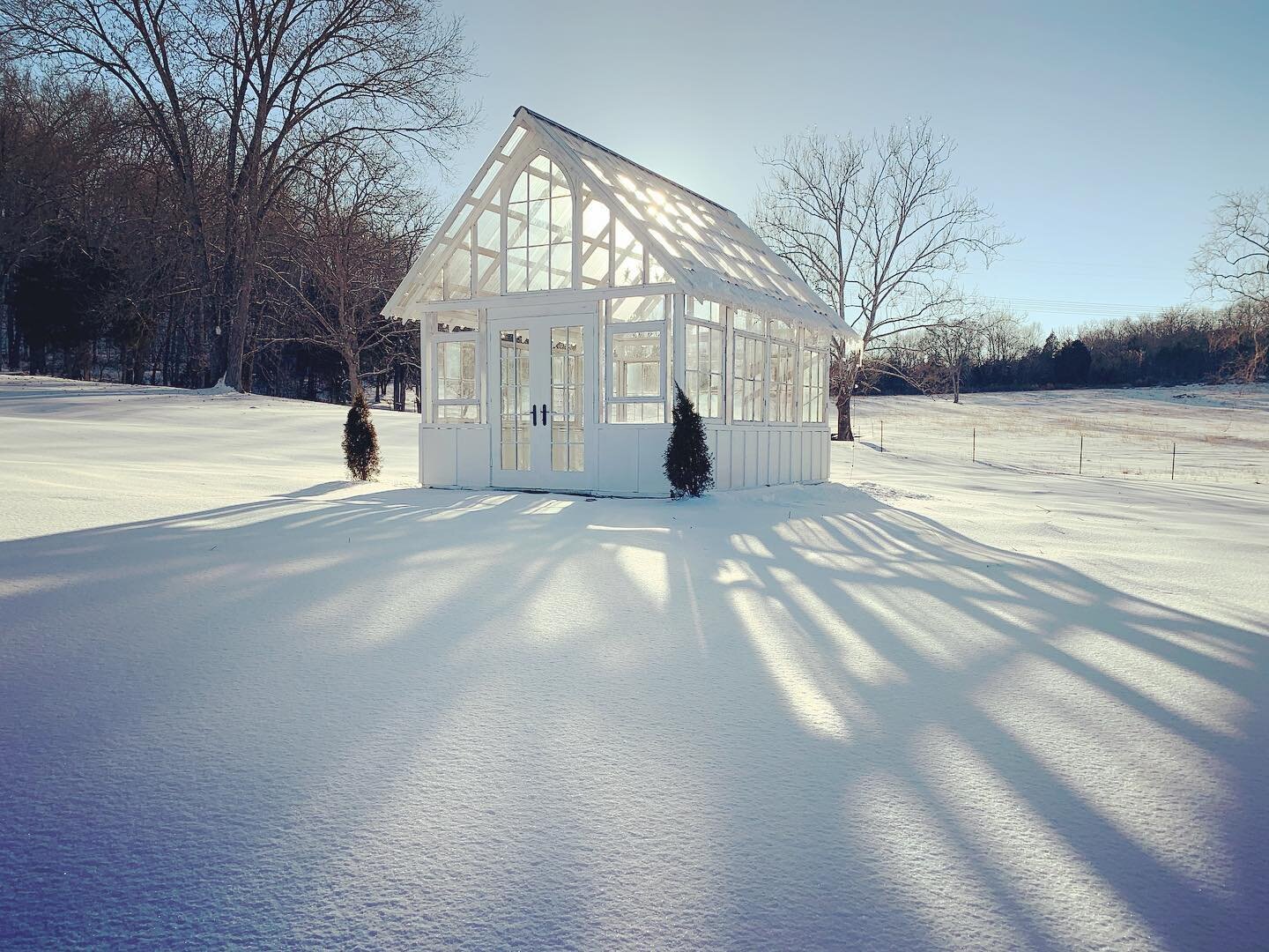 The winter lighting and shadows casted from the greenhouse this evening was absolutely beautiful! 🤍 
Chilly on the outside, warm on the inside! 

#greenhouse #sheshed #greenhouselife #greenhousegardening #recycledgreenhouse #greenhouselove #whiteonw