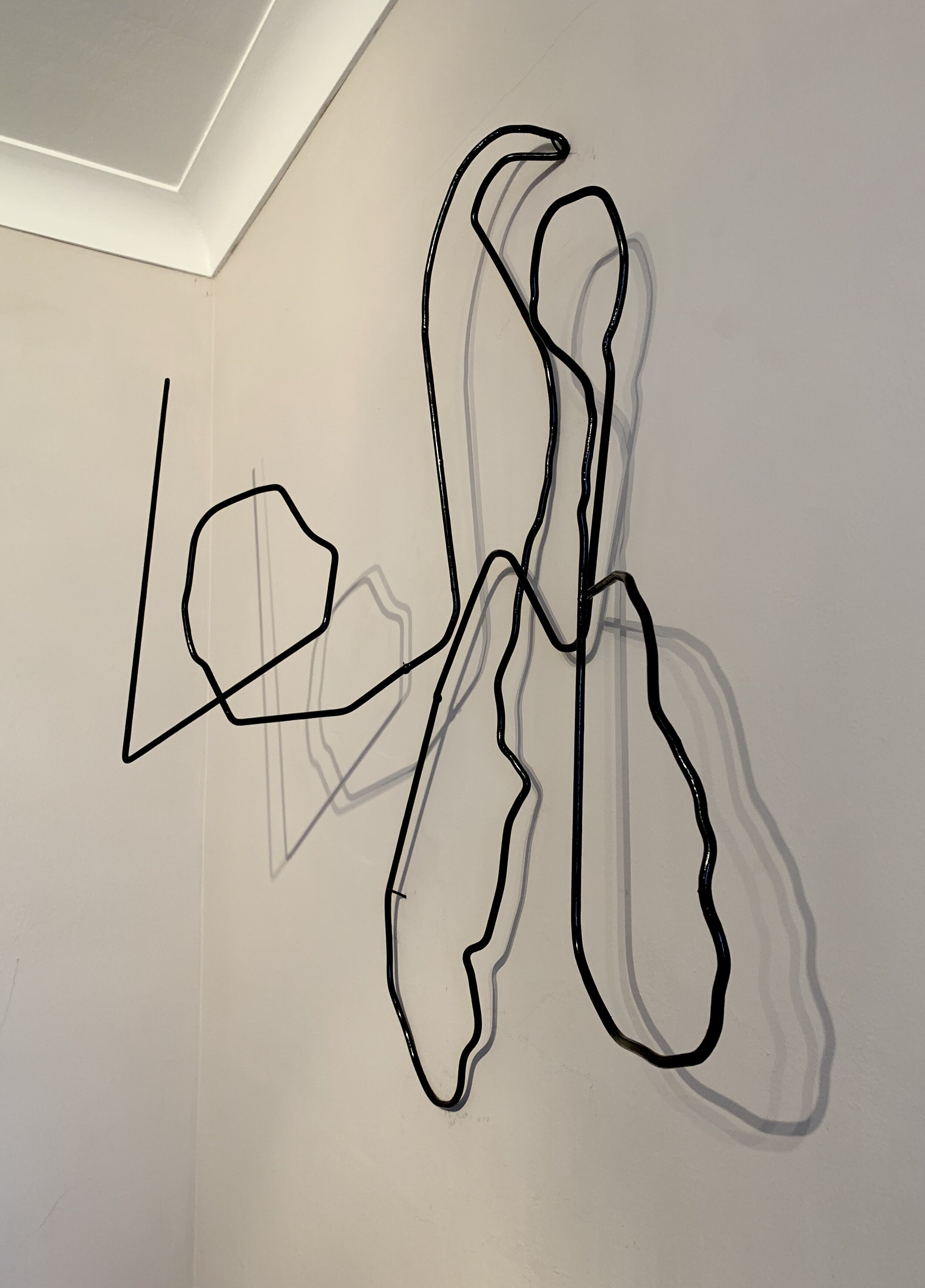 IMG_1902.jpeg