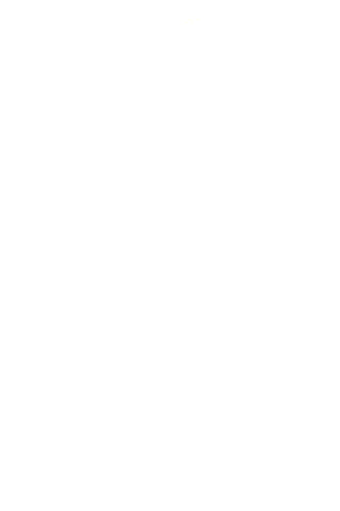 Sunlight Music Academy - École de Musique à Grenoble