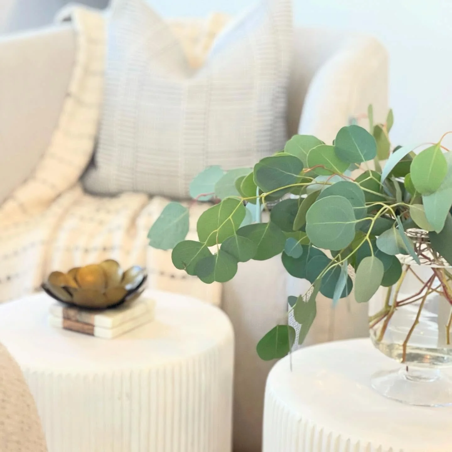Spring refresh! 🌱 It&rsquo;s the perfect time of year to bring life, light and cohesiveness to your home. If you and your projects are in need of our services, link in bio and head on over to brittanyandtrenton.com! 🔗