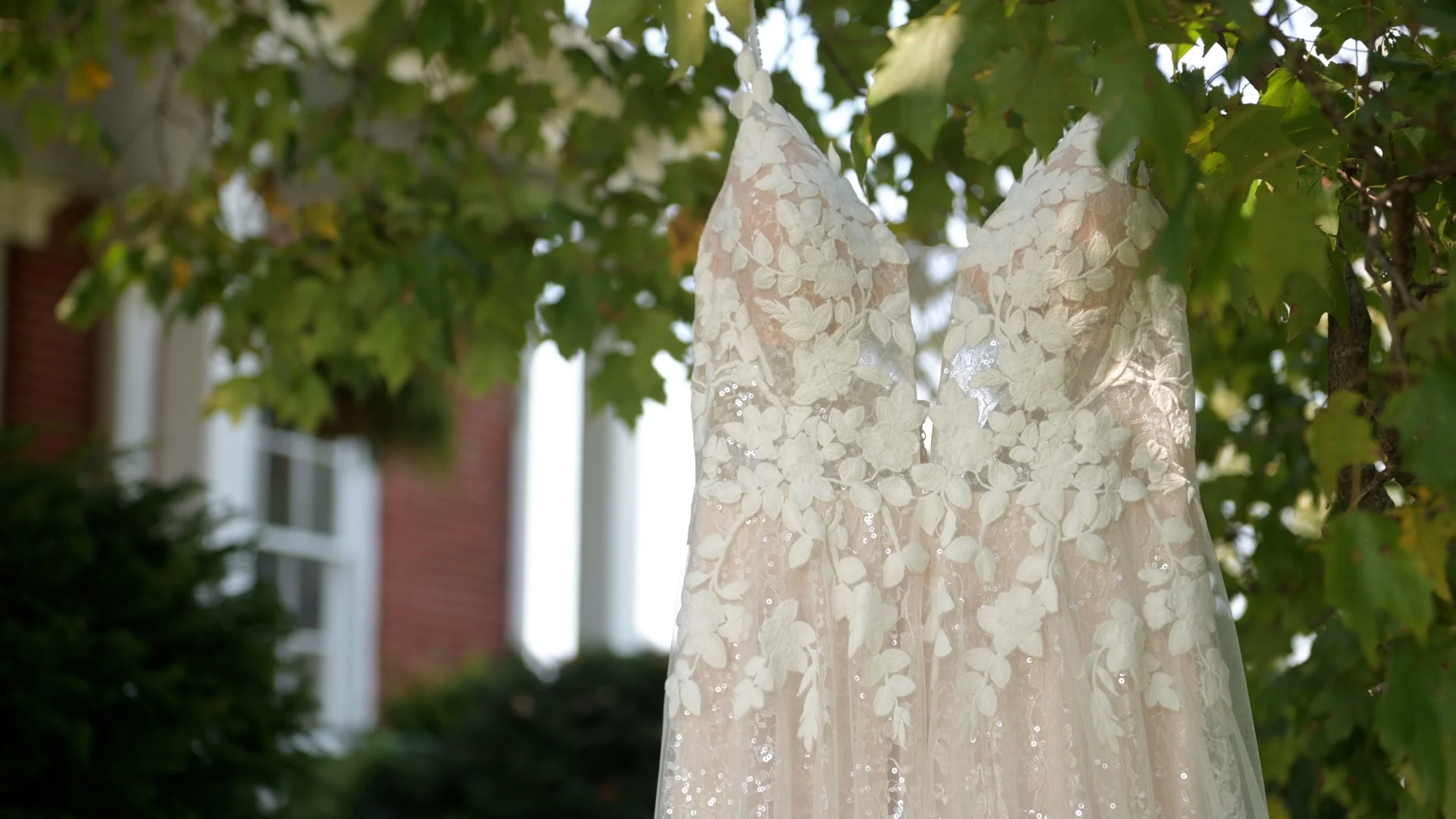 All Footage.00_08_41_09.Still005.jpg