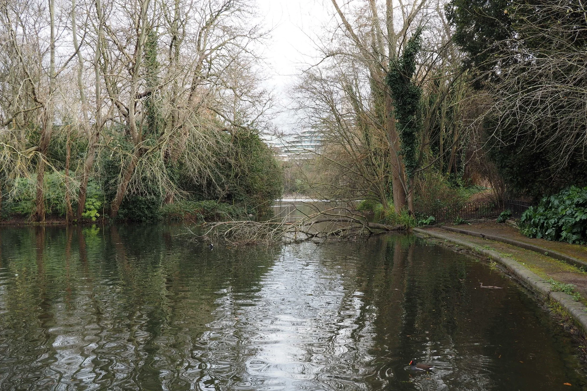 Storm Eunice and Battersea