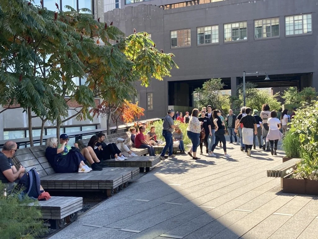 Learning from New York City’s High Line
