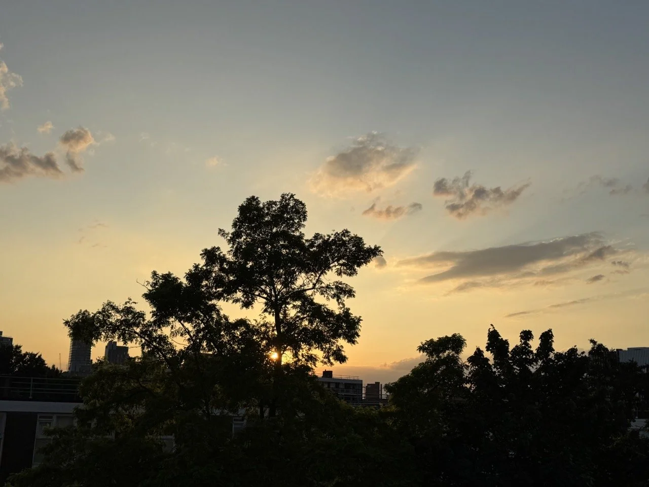 Sustainable September