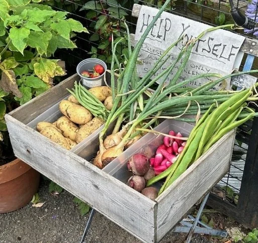 Keeping It Local: Ethelburga Estate Community Garden