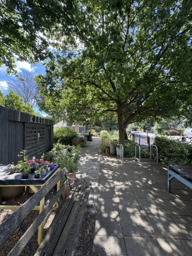 Keeping It Local: Thrive in Battersea Park
