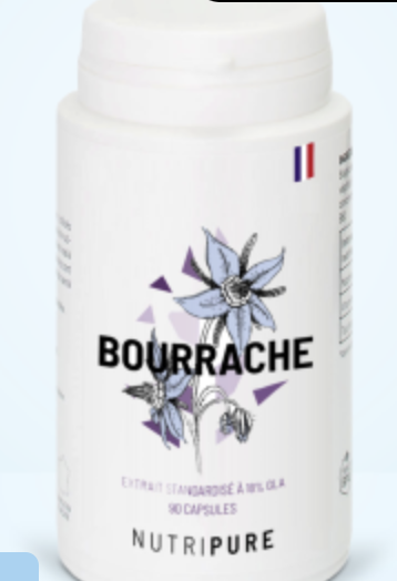 Capture d’écran 2025-01-03 à 18.33.27.png