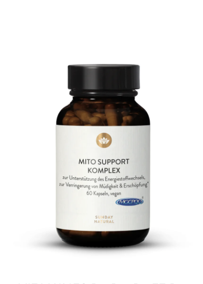 Capture d’écran 2025-01-02 à 19.11.23.png