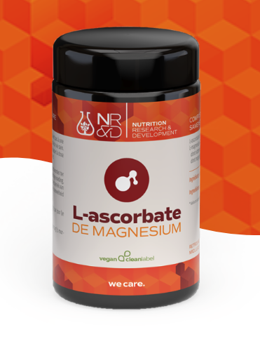 Capture d’écran 2025-02-04 à 14.33.59.png