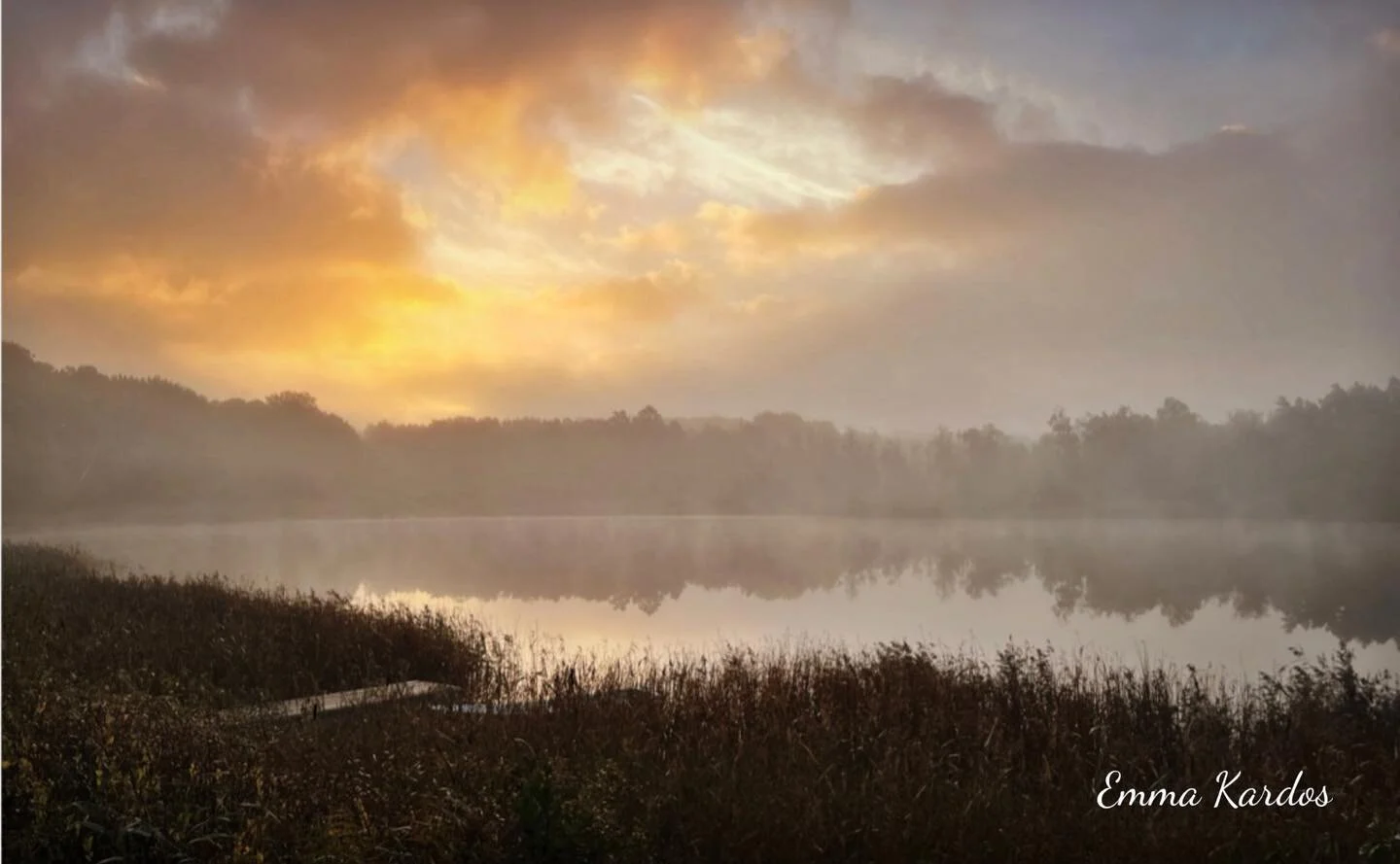 Sagolik morgon idag. Som en omfamning 🧡 &Ouml;nskar dig en riktigt fin och bra dag! 

#morning #morgon #nydag #nydagnyam&ouml;jligheter #idag #today #todayisagoodday #todayistheday #livskvalitet #mindfulness #mindfulliving #m&aring;bra #m&aring;brav