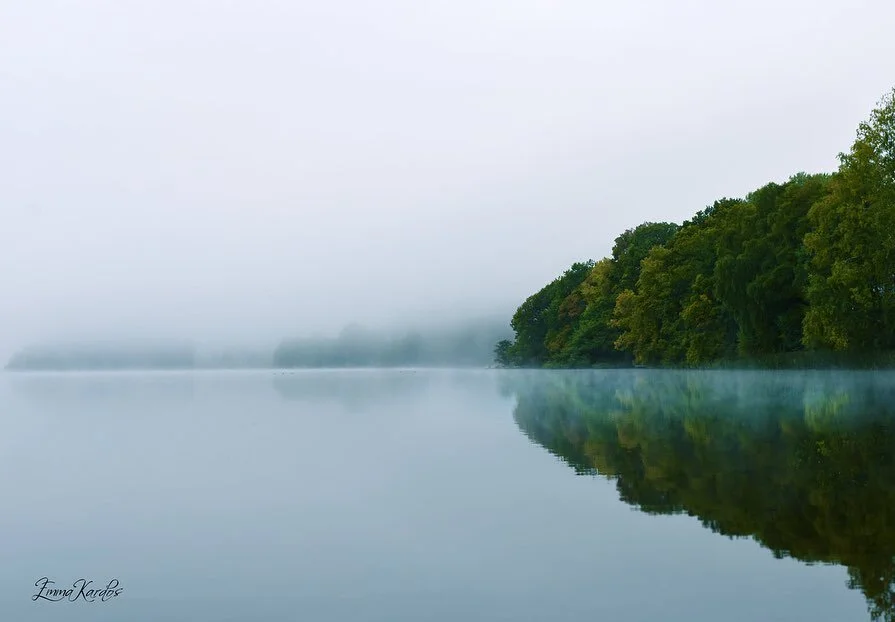 Regntunga dagar kan vara otroligt st&auml;mningsfulla 🧘🏻&zwj;♀️

#dimma #morgon #st&auml;mningsfullt #naturfoto #naturephotography #naturfotografi #countryside #sweden_photolovers #sweden #swedishnature #sverige #svensknatur #earthfocus #earthpix #