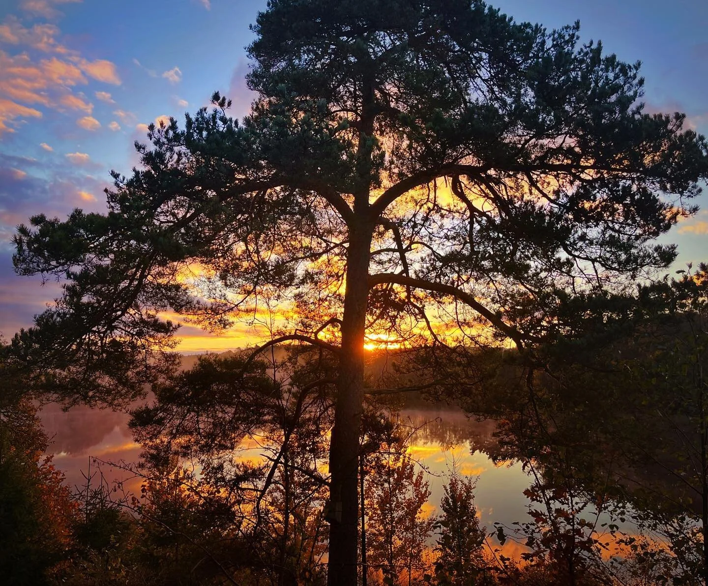 God Morgon! H&auml;rliga f&auml;rger att f&aring; vakna till! Hoppas denna vackra start p&aring; dagen ska f&ouml;lja er alla! 🌅 

#godmorgen #goodmorning #instamorning #nydag #nydagnyam&ouml;jligheter #newday #newdaynewstart #possitivevibes #nature