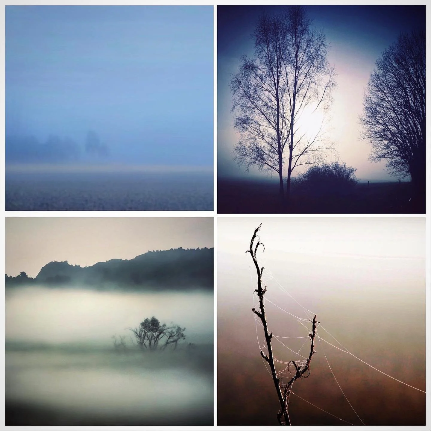 November 🍂🤍🤎💙

#november #novembre #lugn #stillhet #tranquility #calmness #calmnessofmind #dimma #fog #foggy #mist #misty #naturephotography #nature #naturelovers #sweden #swedishnature #foggymorning #mistymorning #fiftyshadesofgrey