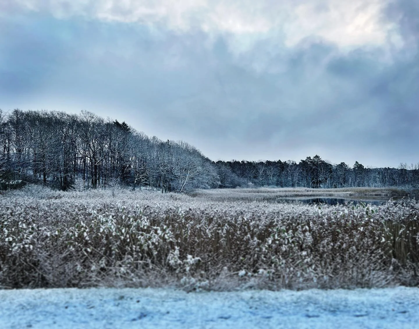 Och s&aring; kom &aring;rets f&ouml;rsta sn&ouml; vid V&auml;llsj&ouml;n 🤍💙❄️

#sn&ouml; #snow #vinter #winteriscoming #f&ouml;rstasn&ouml;n  #sn&ouml;landskap #winterlandscape #naturephotography #nature #natur #sverige #svensknatur #sweden #swedis