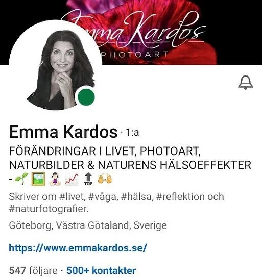 Sista tiden har jag b&ouml;rjat vara aktiv p&aring; Linkedln 🤓. L&auml;gg g&auml;rna till mig i ditt n&auml;tverk (om du har Linkedln) d&aring; jag beh&ouml;ver all hj&auml;lp jag kan f&aring; med att f&aring; pepp, n&auml;tverk, kunskap, inspiratio