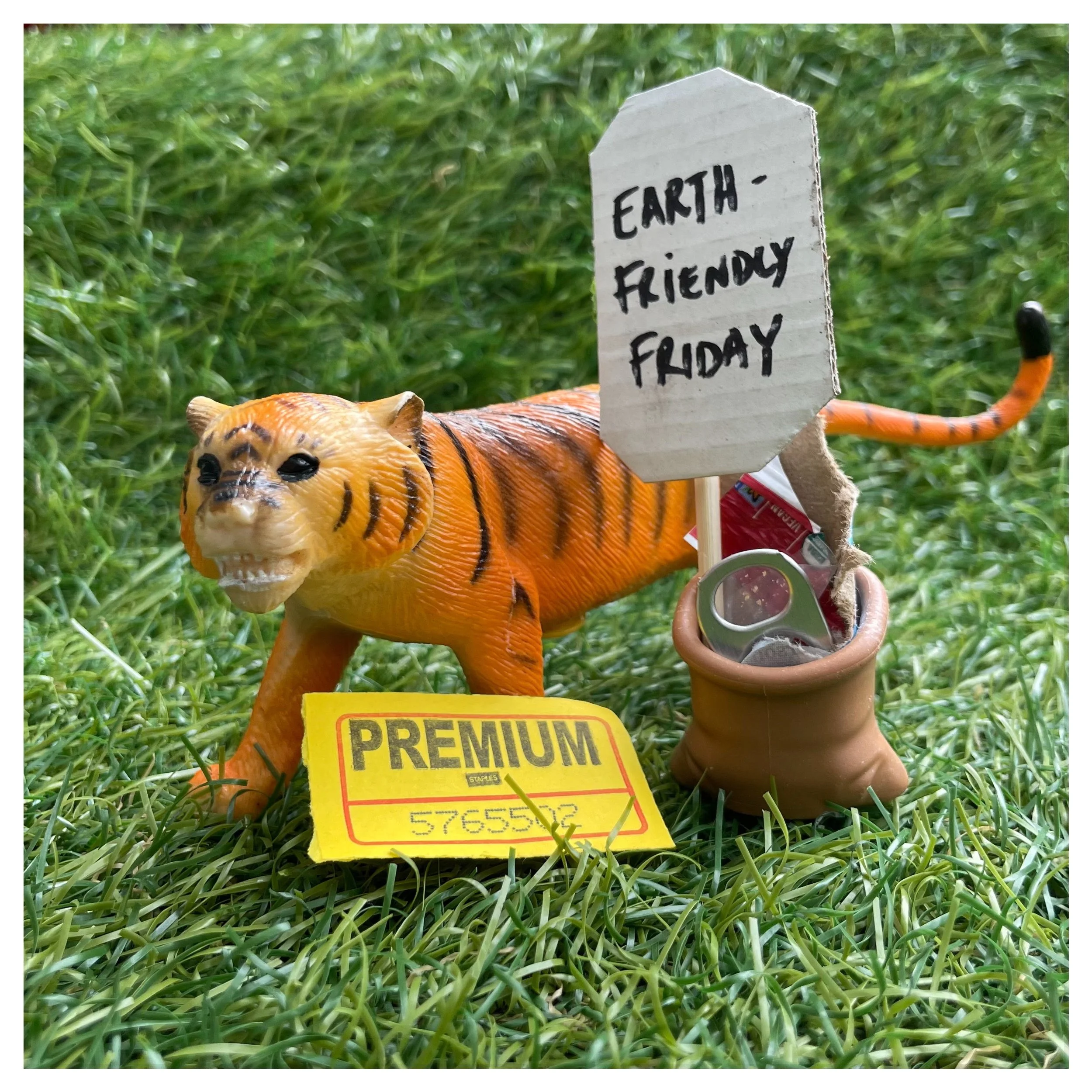 Earth Friendly Friday