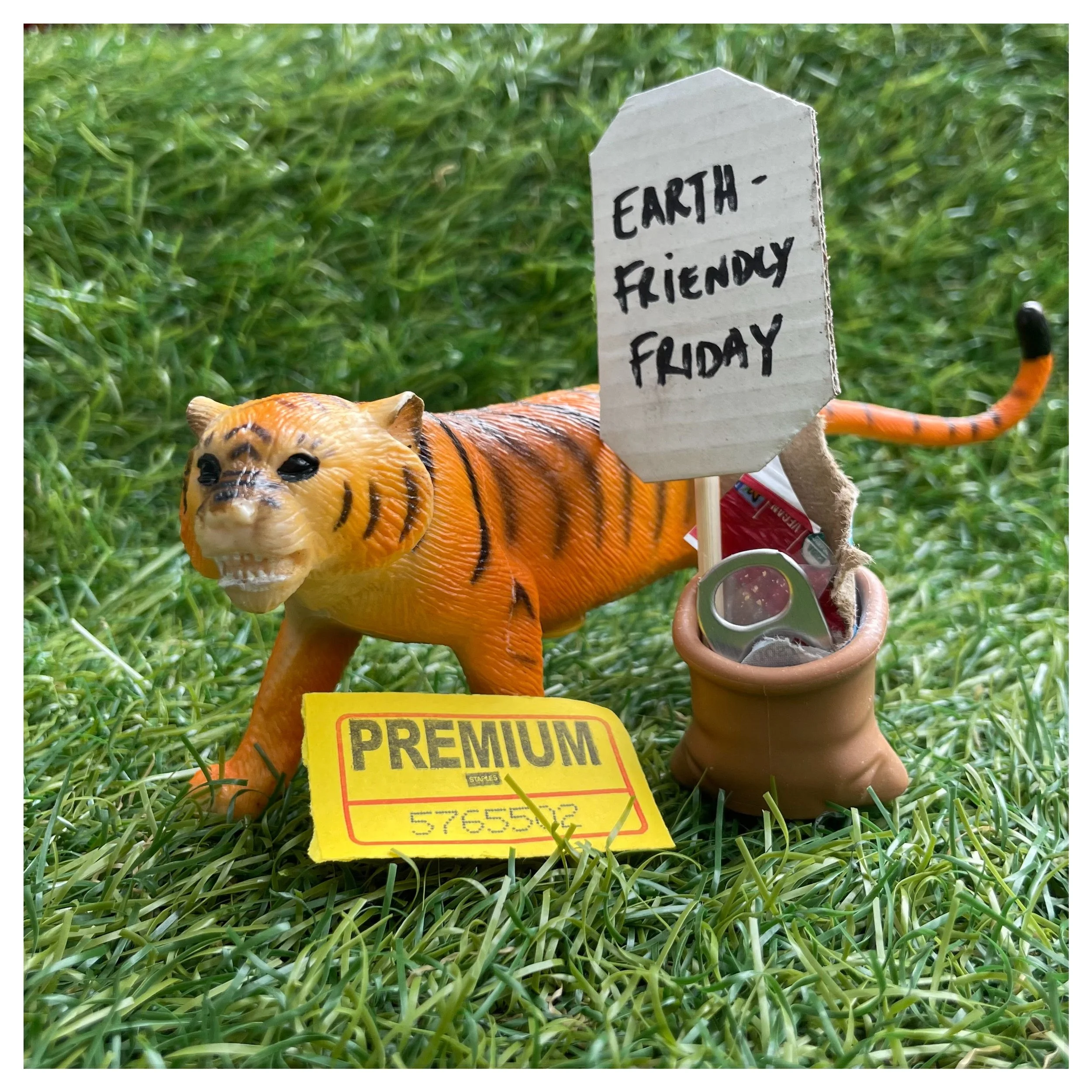 Earth Friendly Friday